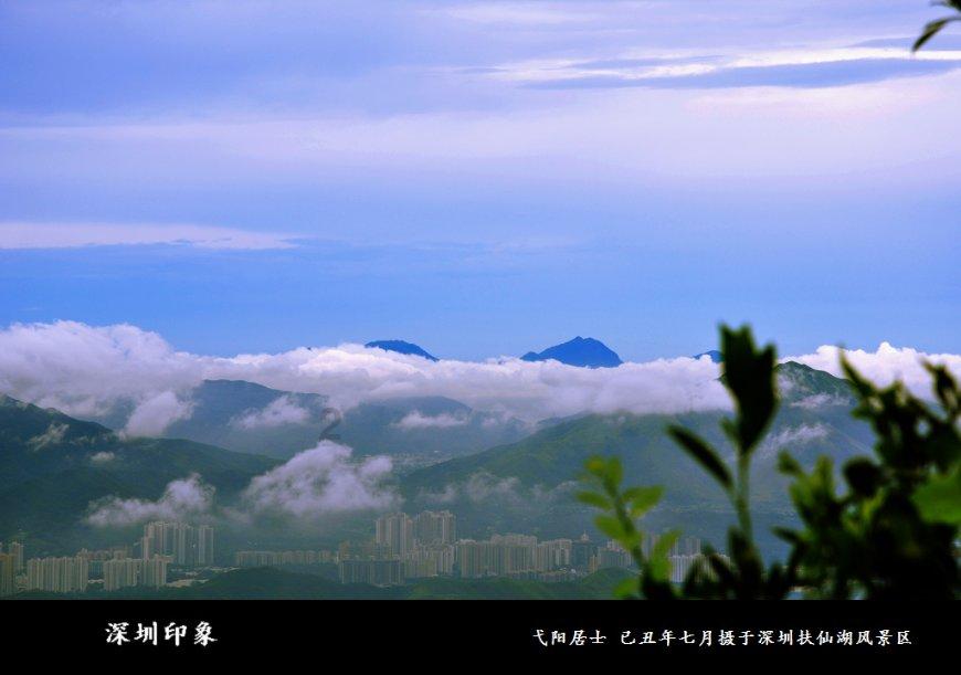 瓜子富含饱和脂肪酸和热量,过量食用容易导致体重增加
