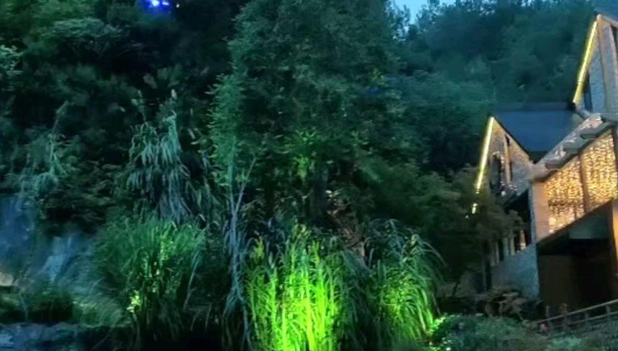 饥饿的哈利